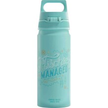 Sigg 6036.20 WMB Harry Potter 0,6L Matara, Su Yeşili - 5